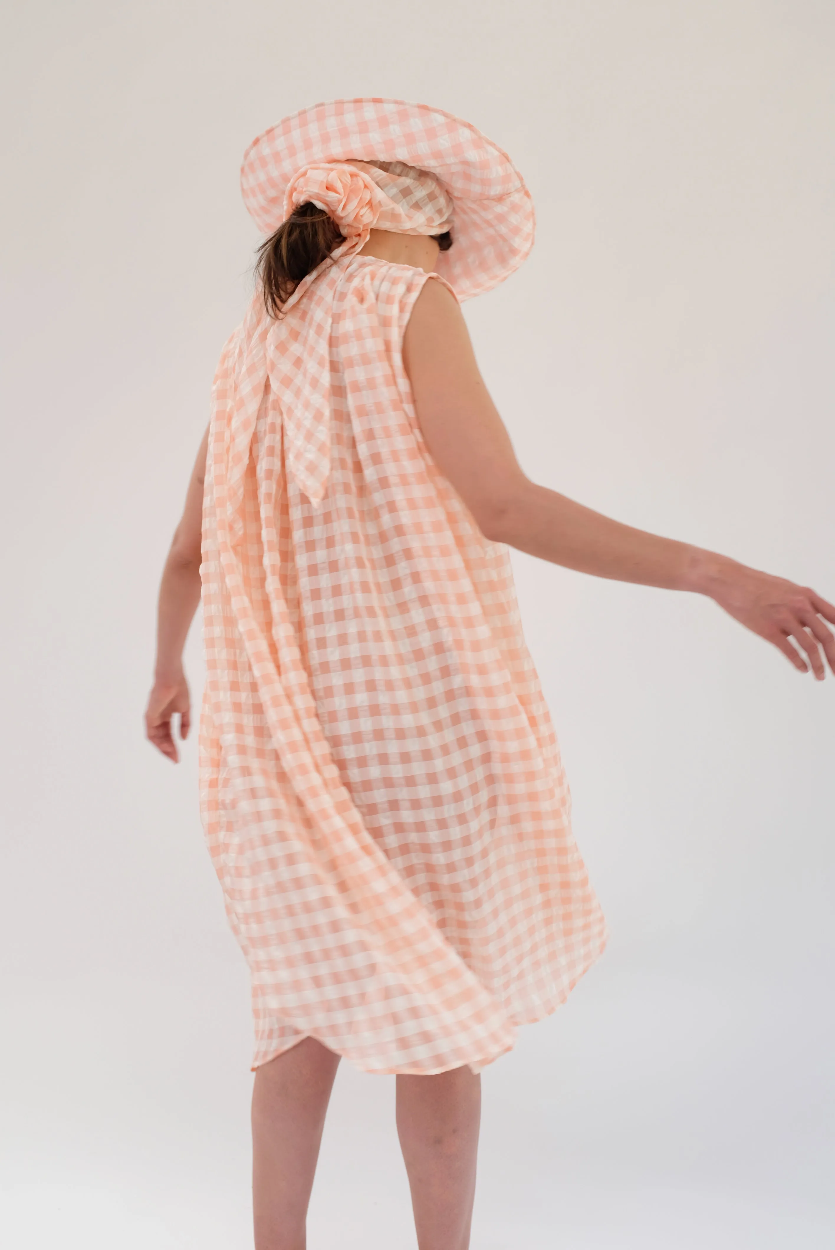 Beklina Basta Dress Grapefruit Gingham