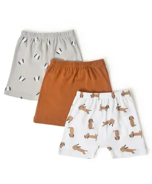 Buddy Kids Comfy Shorts- Pack of 3