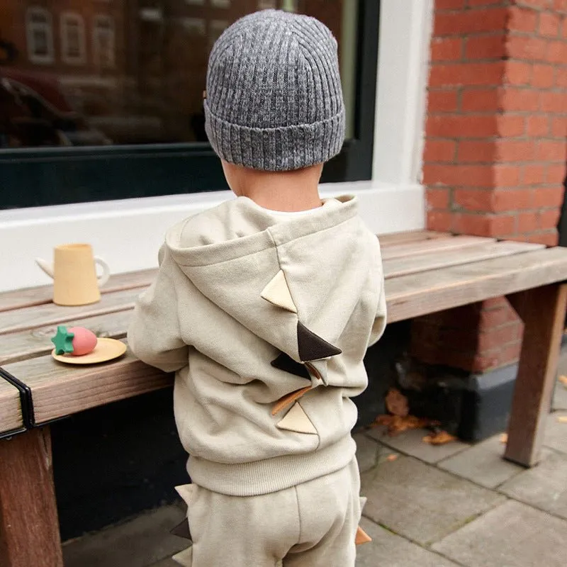 Toddler/Kid Boy 3D Little Dino Embroidery Jacket with Pants Set